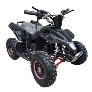500w Leictreach Quad for Kids